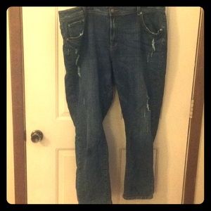 Lane Bryant bootcut distressed jeans